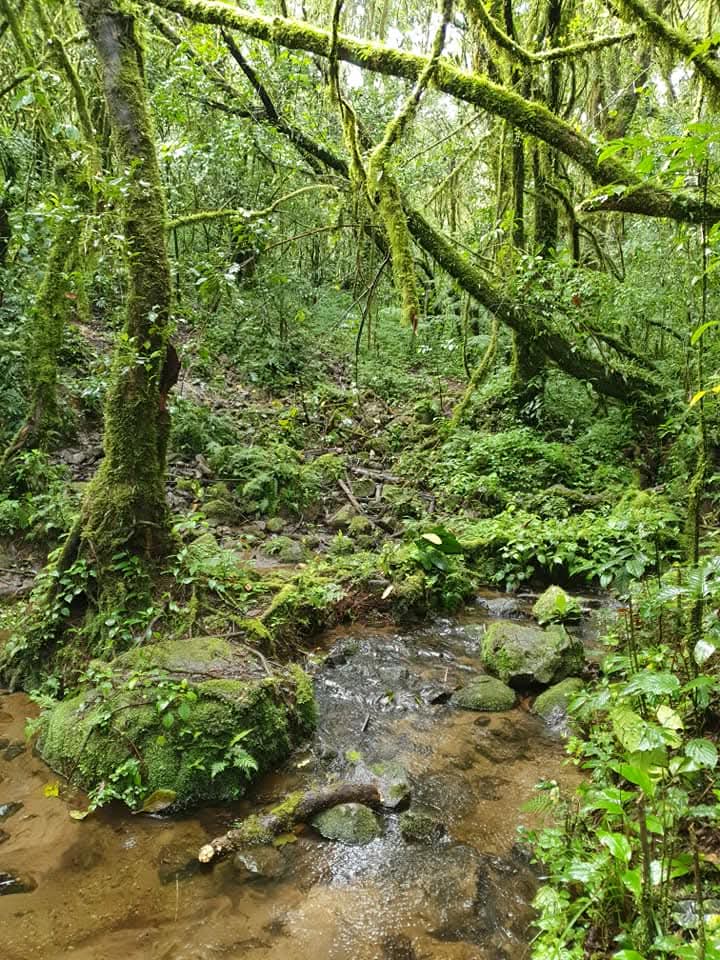 Préservation de la nature